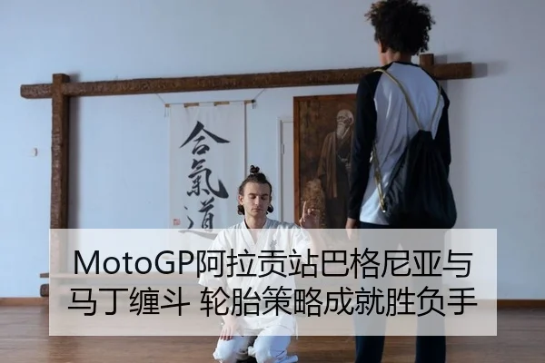 a-la-gong-zhan-ba-ge-ni-ya-yu-ma-ding-chan-dou-lun-tai-ce-lve-cheng-jiu-sheng-fu-shou-2-891.jpg
